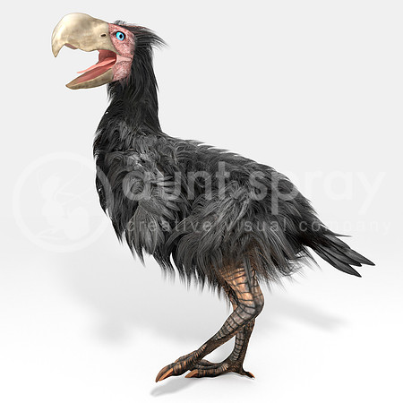 Gastornis