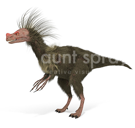 Ornitholestes (Dinosaur)
