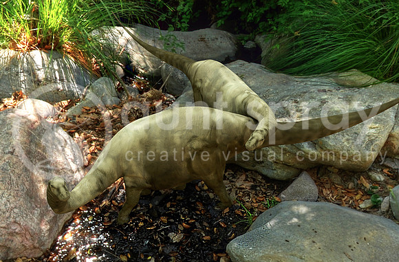 Baby Apatosaur Dinosaurs Exploring Creek