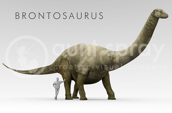 Dinosaur Brontosaurus And Human Size Comparison