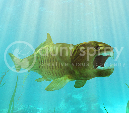 Dunkleosteus Lurking