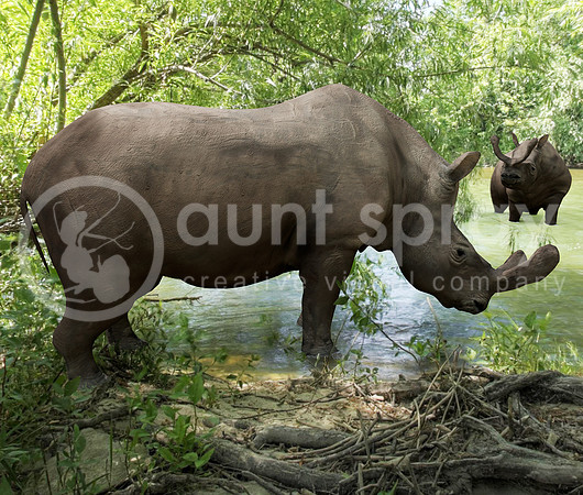 Brontotherium Drinking In River