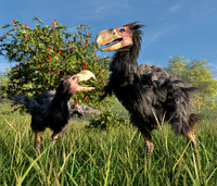 Terror Birds In Wetland