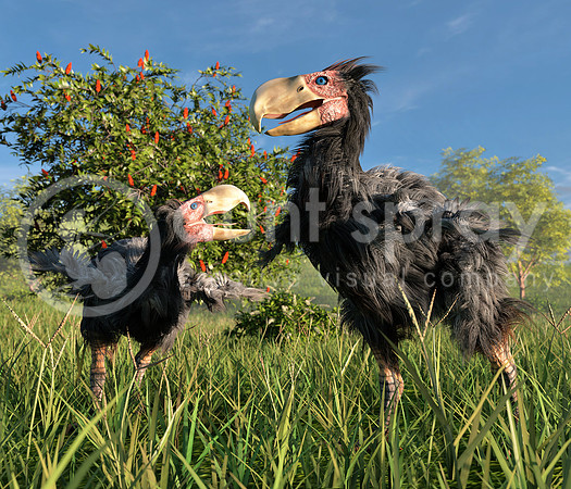 Terror Birds In Wetland
