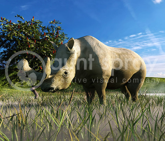 Brontotherium In Grassland