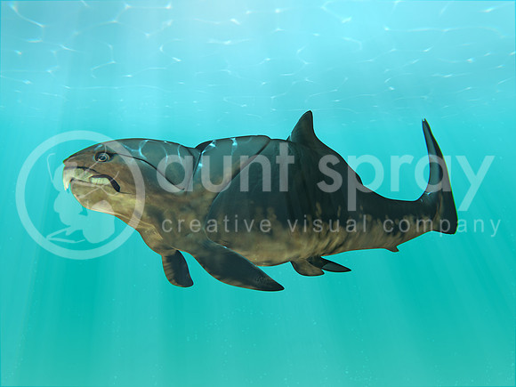 Dunkleosteus Swimming
