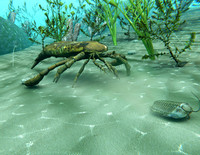 Eurypterus Chasing Trilobite