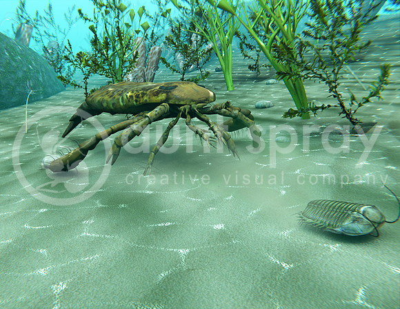 Eurypterus Chasing Trilobite