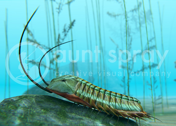 Trilobite On Sea Bottom