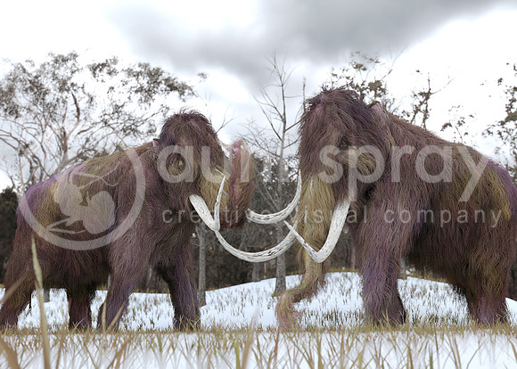 Woolly Mammoth Clones