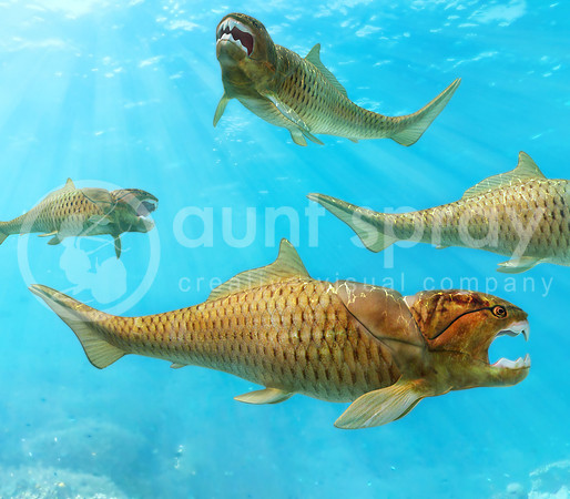 Group of Dunkleosteus Circling