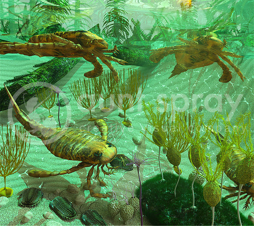 Devonian Sea Scene