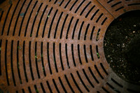 Tree Grate