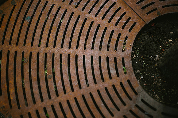 Tree Grate