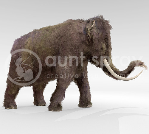 Woolly Mammoth (Side View)