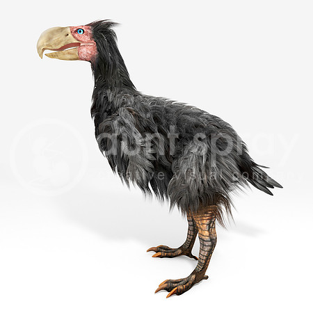 Gastornis