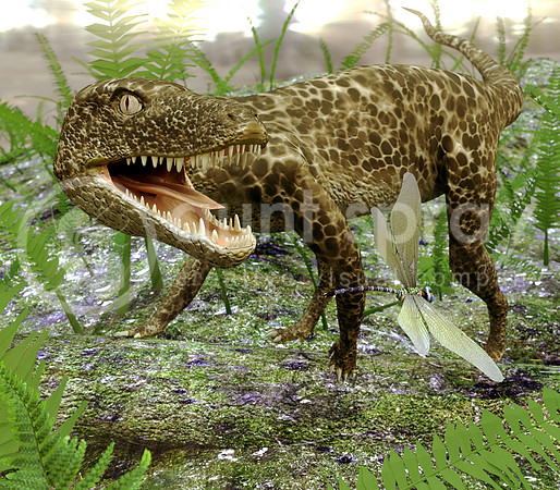 Hesperosuchus Chasing A Dragonfly