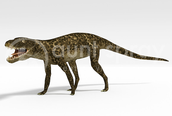 Hesperosuchus (Crocodylomorph)
