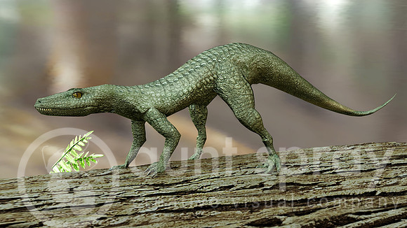 Hesperosuchus Crocodylomorph