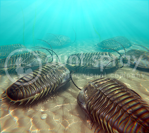 Trilobites