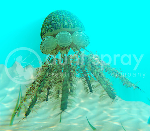Graptolite Diplograptus