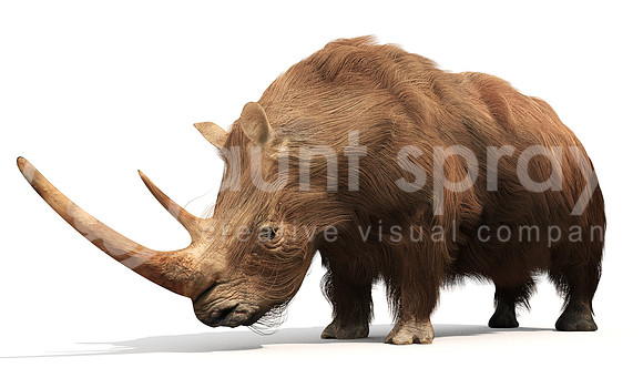 Woolly Rhinoceros