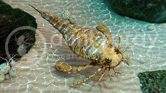 Eurypterid Exploring Seafloor (Sea Scorpion)