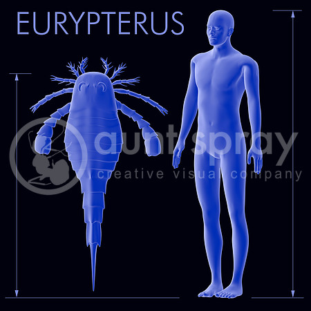 Eurypterus And Human Size Comparison