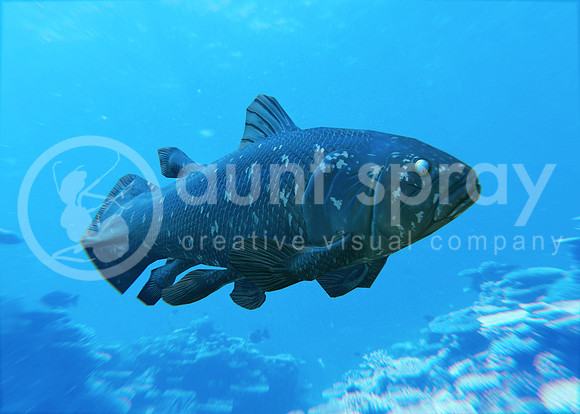Coelacanth Searching