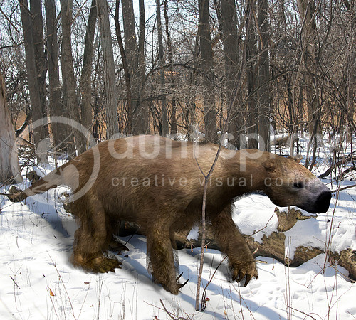 Megalonyx In Ice Age Forest