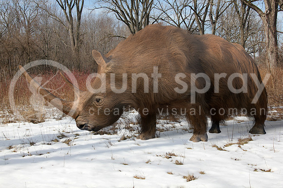 Woolly Rhinoceros In Ice Age Forest